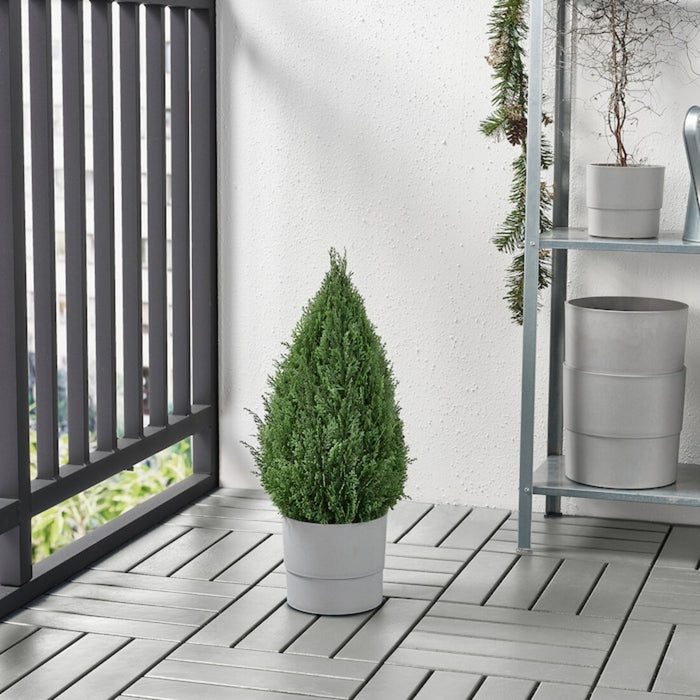 Digital Shoppy IKEA Artificial Potted Plant, in/Outdoor Cypress, 15 cm (6 ")-natural-looking-artificial-plants-pot-and-trees-indoor-for-home--digital-shoppy-8049662
