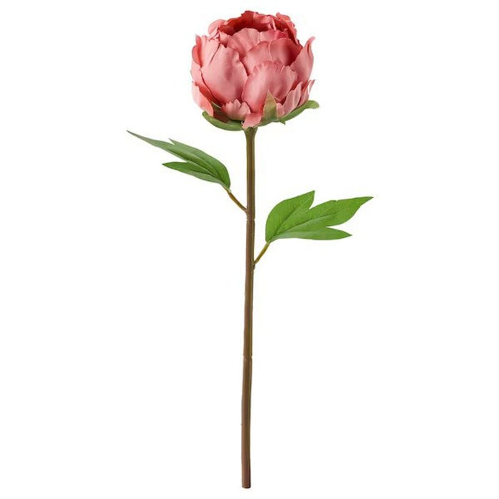 Digital Shoppy IKEA Artificial flower, Peony/dark pink, 30 cm (11 ¾ ")-ikea-artificial-flower-home-decoration-flowers-onlinesunflower-digital-shoppy-90409754