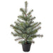 Digital Shoppy IKEA Artificial Potted Plant, with Pot White, in/Outdoor/Christmas Tree Green, 12 cm (4 ¾ ")  price online decoration 90388742, 30494972, A lifelike artificial potted plant in white pot, with Christmas tree green leaves, suitable for indoor and outdoor use, measuring 12 cm, from IKEA. 