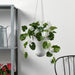 Digital Shoppy Shop IKEA's selection of lifelike artificial hanging plants for the perfect low-maintenance addition to your home or garden. Whether you prefer lush foliage or something more understated, our collection has a variety of options to choose from.  70506510