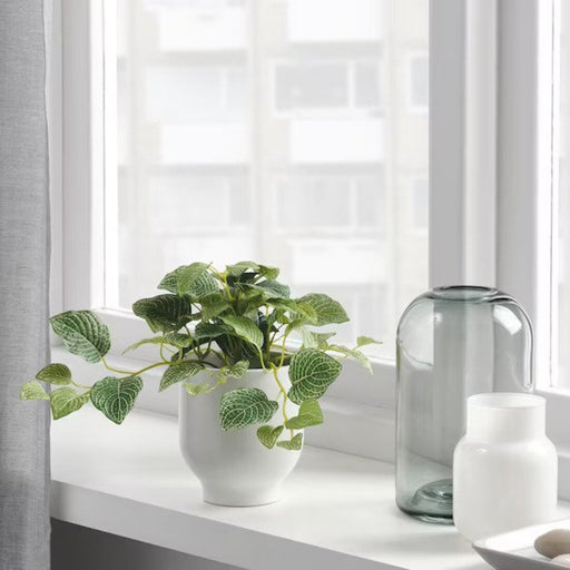 Digital Shoppy Create a calming and serene atmosphere in your home with IKEA's artificial potted hanging plants. Perfect for those who love the look of plants but don't have the time for upkeep. Check out our collection now.  20506490