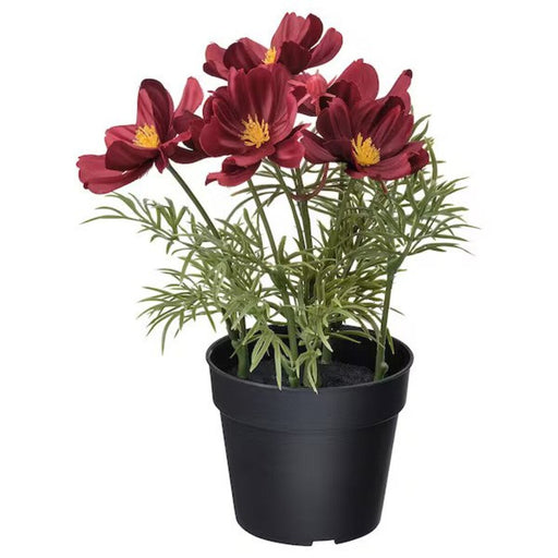 Digital Shoppy IKEAVibrant artificial red cosmos plant for indoor/outdoor use 50535735