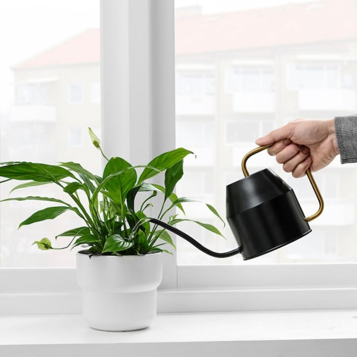 A small black metal watering can with a curved handle and a narrow spout, sitting on a windowsill with a succulent plant