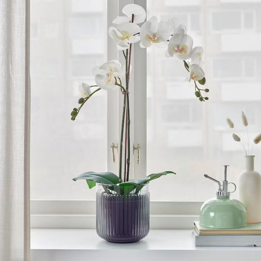 An understated and elegant plant pot that blends seamlessly into any environment, allowing your plants to take center stage. 30502929