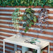 Add some green to your walls with IKEA's artificial plant and holder 10548626 
