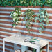 Add some green to your walls with IKEA's artificial plant and holder 50548629