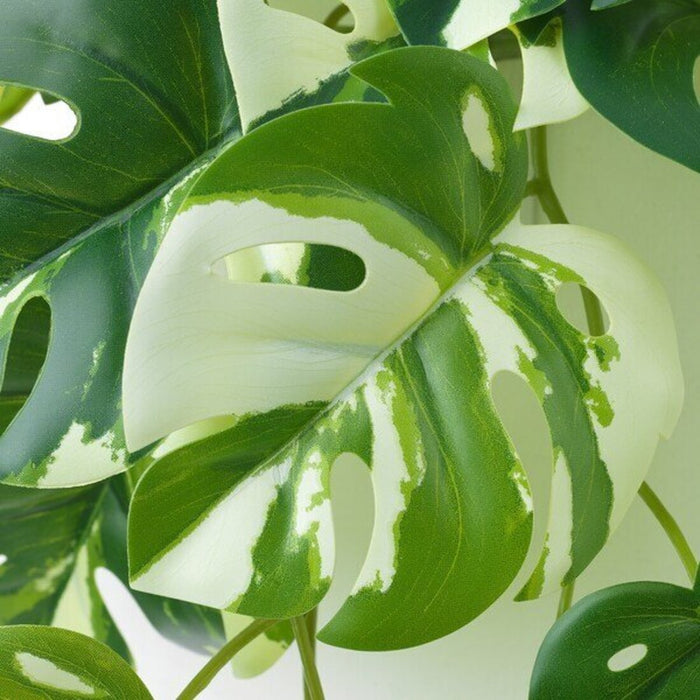 IKEA's artificial plant and wall holder - a stylish addition to any room 50548629