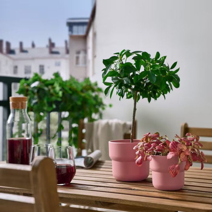 Digital Shoppy IKEA 9 cm pink plant pot, functional and stylish, perfect for showcasing your indoor and outdoor plants  90535998