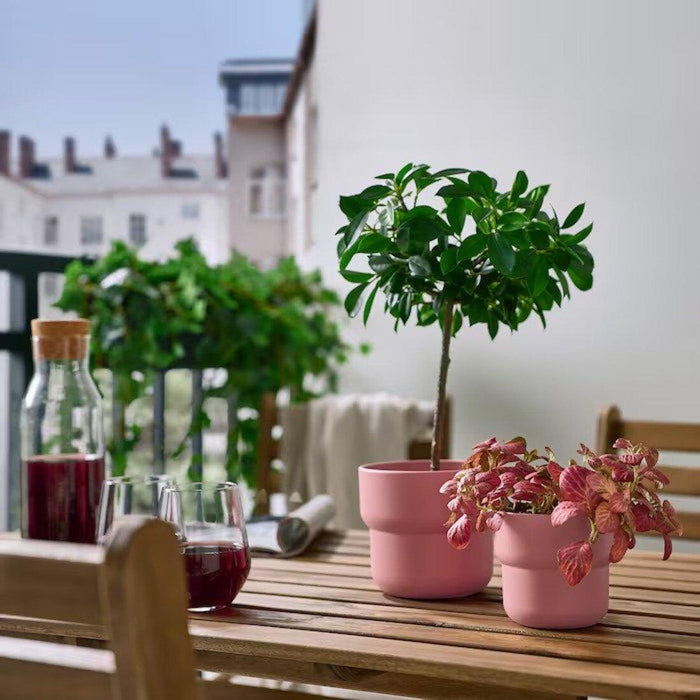 pink plant pot ikea IKEA FÖRENLIG Plant Pot, in/Outdoor Pink, 9 cm- Add Some Color to Your Plant Collection