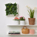 Upgrade your space with IKEA's artificial wall mounted plant, measuring 26x26 cm, a low-maintenance and stylish way to bring some greenery to your walls and surroundings  Digital Shoppy 