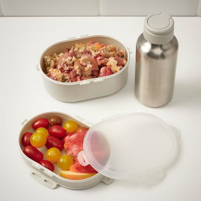 An individual compartment of the lunch box, with a transparent lid to show the contents 10518653         