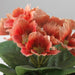 A lifelike, orange Primula faux plant in a pot that is affordable and perfect for brightening up dull areas 00548311 