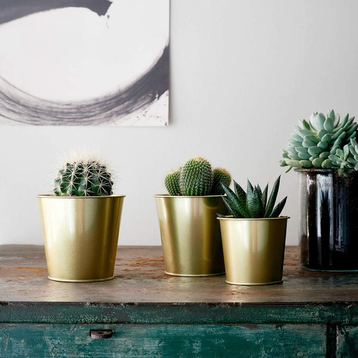 A functional and stylish plant pot